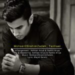 تنهایی | محسن ابراهیم زاده