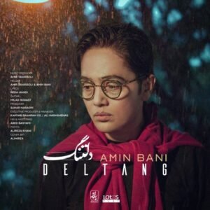 دلتنگ | امین بانی