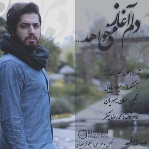 دلم آغاز می خواهد | میلاد بابایی