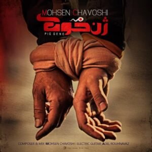 حلالم کن | محسن چاووشی