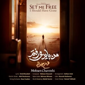 من باید می‌رفتم | محسن چاووشی