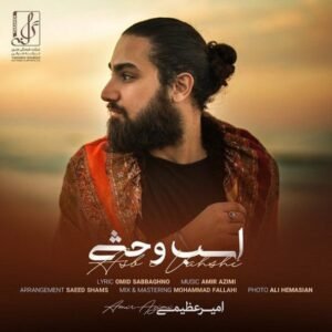 اسب وحشی | امیر عظیمی