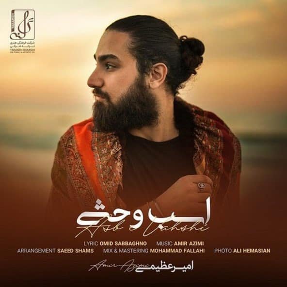 اسب وحشی | امیر عظیمی