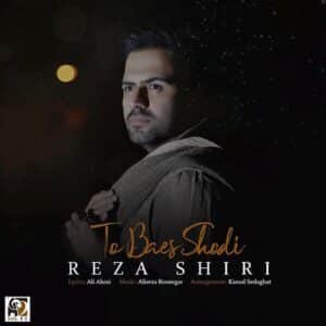 تو باعث شدی | رضا شیری