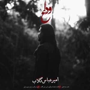 وداع | امیر عباس گلاب