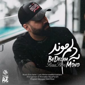به دلم موند | رضا شیری