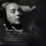 بهت تبریک میگم | ناصر زینعلی