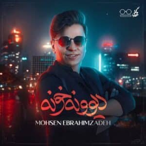 دیوونه خونه | محسن ابراهیم زاده