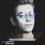 برداشت رفت | محسن ابراهیم زاده