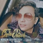 گل پونه | محسن ابراهیم زاده