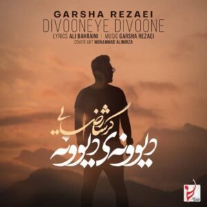 دیوونه ی دیوونه | گرشا رضایی