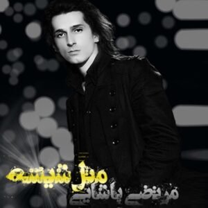 مثل شیشه | مرتضی پاشایی