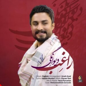 دیوانگی | مصطفی راغب