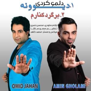 دلمو کردی دیوونه | امید جهان