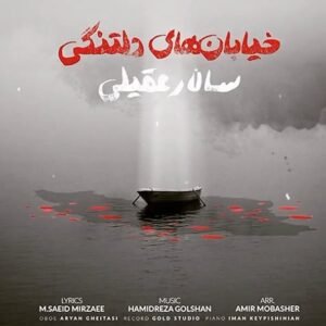 خیابان های دلتنگی | سالار عقیلی