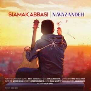 نوازنده | سیامک عباسی