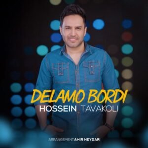 دلمو بردی | حسین توکلی