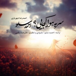 سر به هوا کجایی | احمد سلو