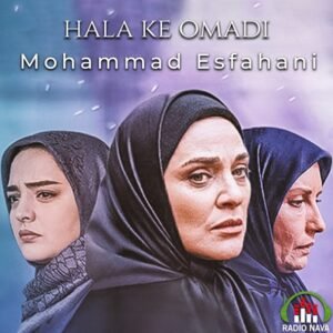 حالا که اومدی | محمد اصفهانی