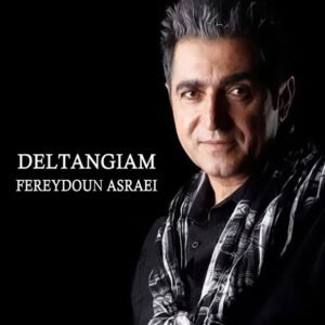 دلتنگیام | فریدون آسرایی