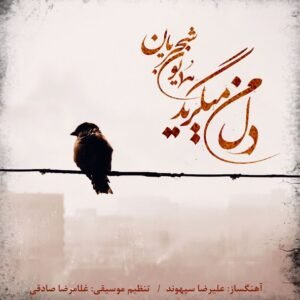 دل من میگرید | همایون شجریان