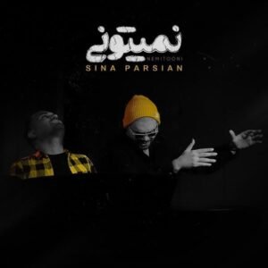 نمیتونی | سینا پارسیان