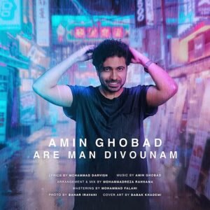 آره من دیوونم | امین قباد