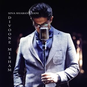 دیوونه میشم | سینا شعبانخانی