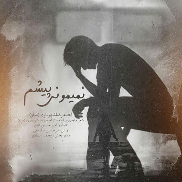 نمیمونی پیشم | احمد سلو