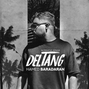 دلتنگ (نسخه جدید) | حامد برادران