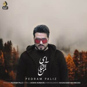 ای آشنای من | پدرام پالیز