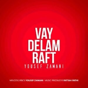 وای دلم رفت | یوسف زمانی