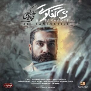 بی تفاوتی | علی زند وکیلی