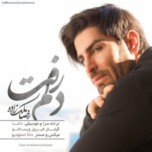 دلم رفت | رضا ملک زاده