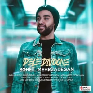 دل دیوونه | سهیل مهرزادگان