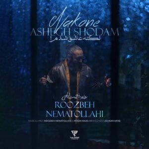 نکنه عاشق شدم | روزبه نعمت الهی