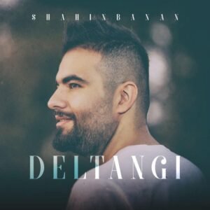 دلتنگی | شاهین بنان