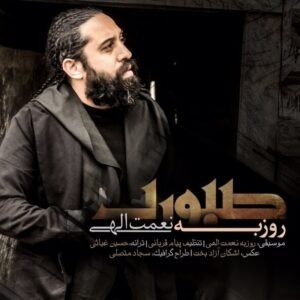 صبوری | روزبه نعمت الهی