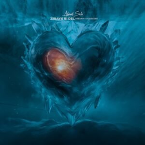 زیبای بی دل (ریمیکس) | احمد سلو