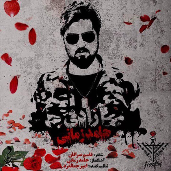 آزادی | حامد زمانی