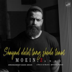 شاید دلت تنگ شده توام | معین زد