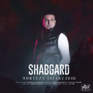 شبگرد | مرتضی جعفرزاده