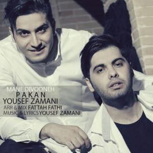 من دیوونه | یوسف زمانی