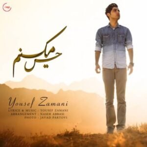 حس میکنم | یوسف زمانی