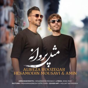 مثل پروانه | علیرضا روزگار