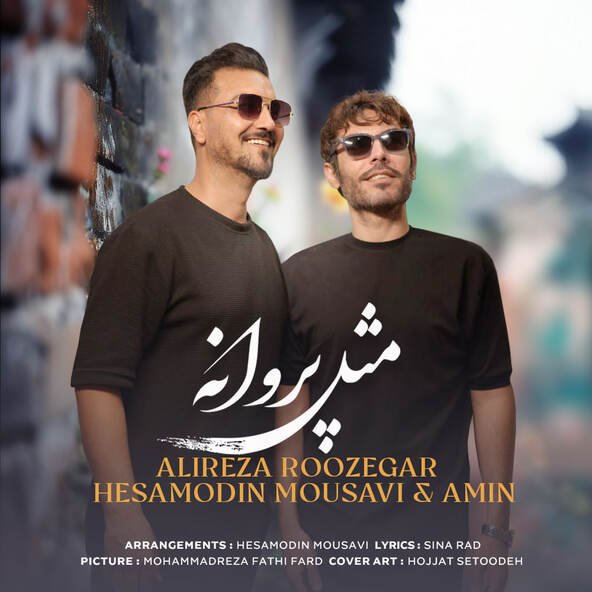 مثل پروانه | علیرضا روزگار