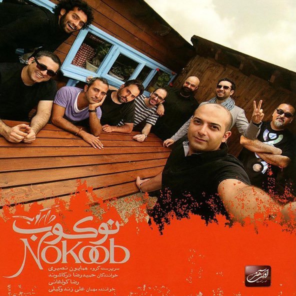 سیاه زنگی | دارکوب بند سیاه زنگی | دارکوب بند