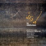 در شب بی تو | همایون شجریان