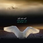 برون از دیده ها | همایون شجریان