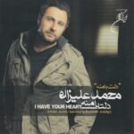 برگرد | محمد علیزاده